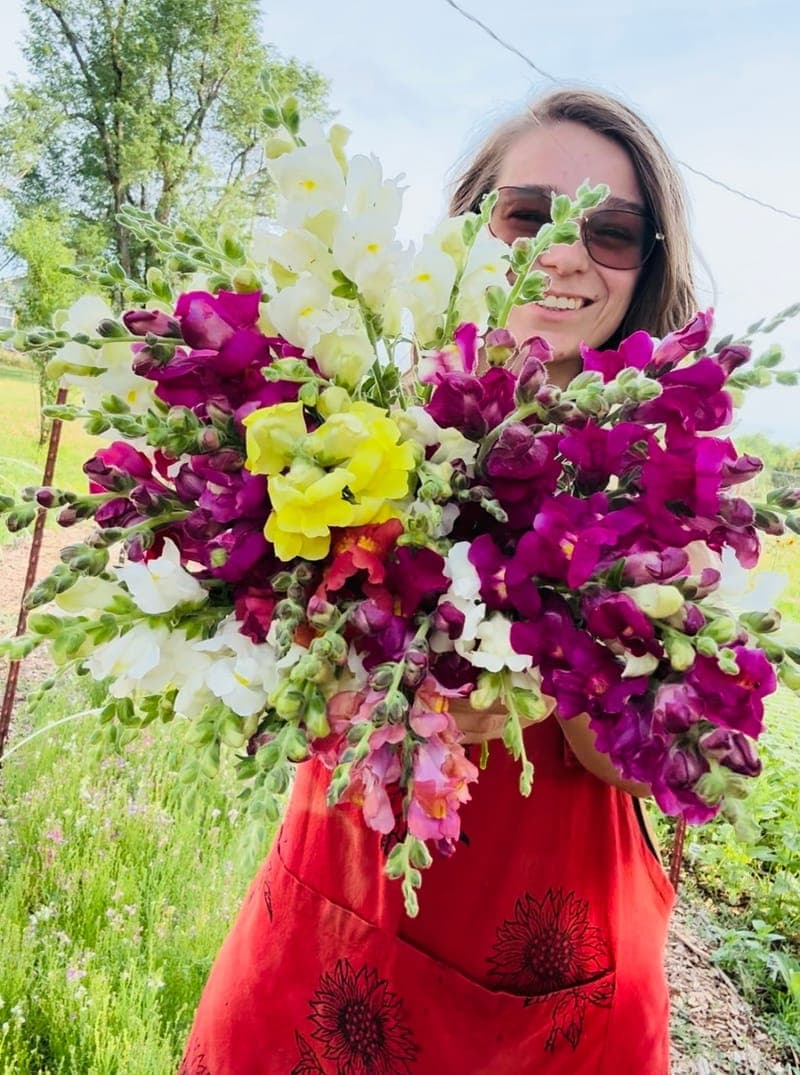 Farmer in red apron holding huge armful of purple, white, and yellow snapdragons
